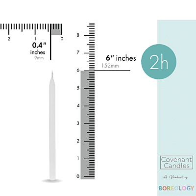 Church Candle 152/9 mm Box