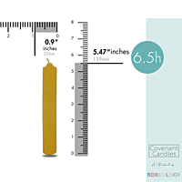 Church Candle 139/22 mm Box