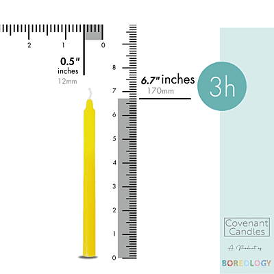 Church Candle 170/12 mm Box