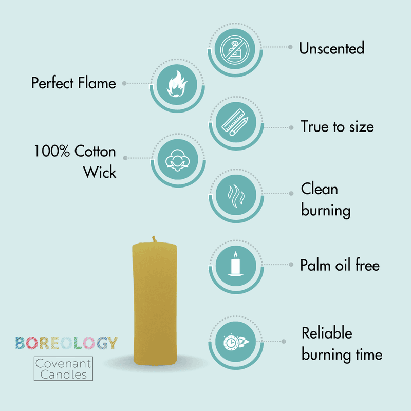 Petite Drum Pillar Candle Petite Drum Pillar Candle