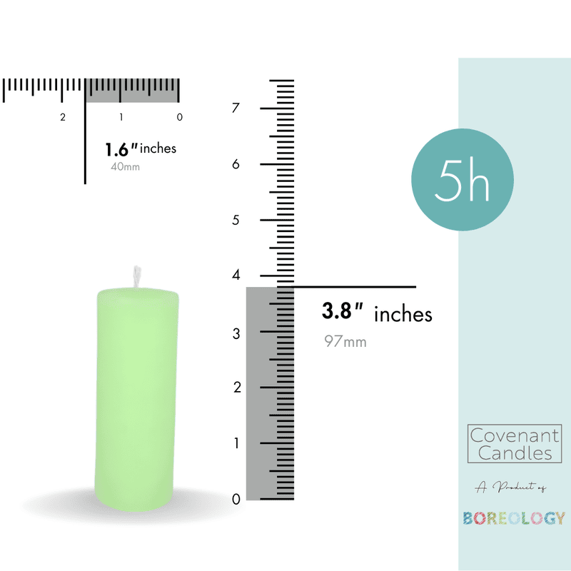 Petite Drum Pillar Candle Petite Drum Pillar Candle