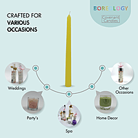 Standard Taper Candle Standard Taper Candle