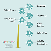 Standard Taper Candle Standard Taper Candle