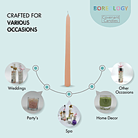 Standard Taper Candle Standard Taper Candle